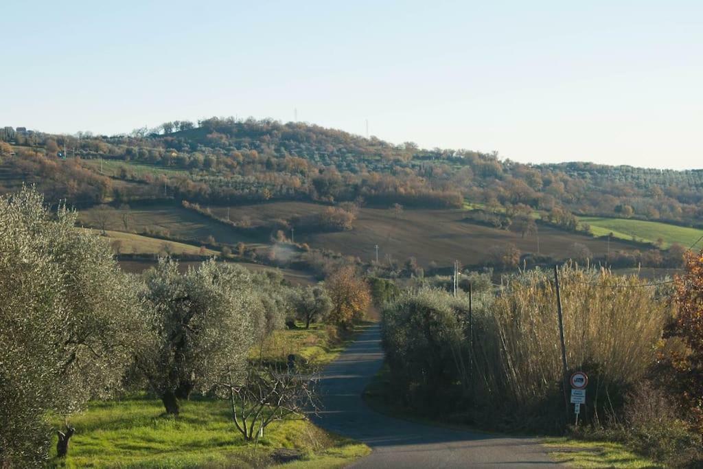 Le Casette Country House 2 Petricci Luaran gambar